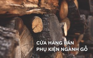 cửa hàng bán phụ kiện ngành gỗ