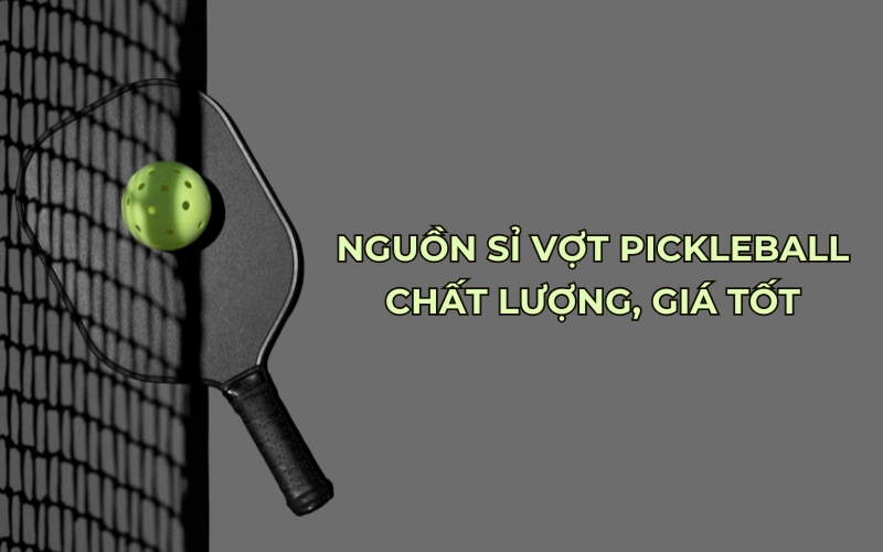 nguồn sỉ vợt pickleball