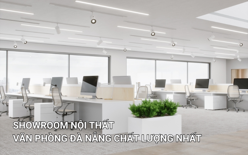 showroom nội thất văn phòng đà nẵng