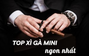 top xì gà mini ngon nhất