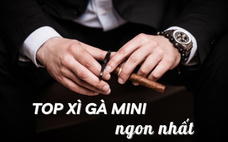 top xì gà mini ngon nhất